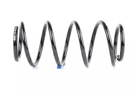 BSG 65-305-006 BSG Пружина ходовой части